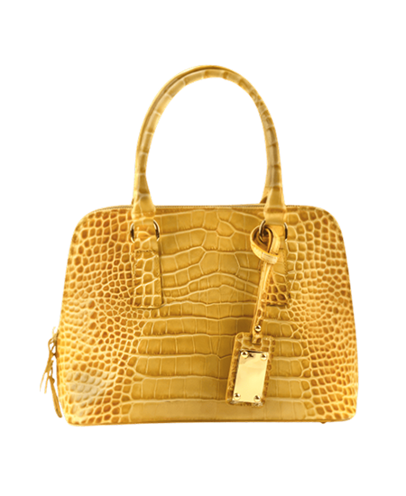 saffron-scale-details-pelvarionex